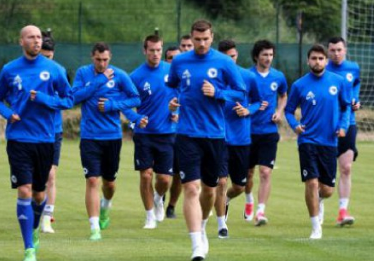 Prosinečki će sa Zmajevima odraditi šest treninga do utakmice sa S. Irskom