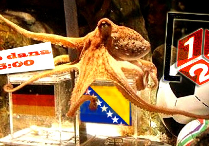 Dunfermline se raspada, Miami lovi 28. u nizu