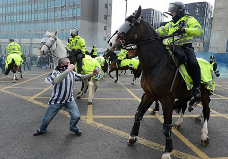 Huligani pretukli policijskog konja u Newcastleu!?