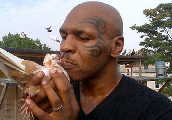 Tyson: Raskinuo sam s curom jer mi je pojela goluba!