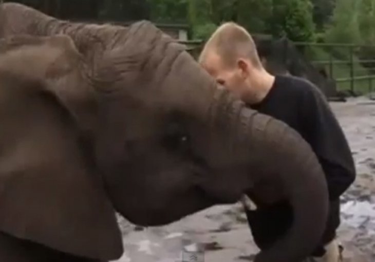 Slonica Nelly zabila Borussiji, Bayern je prvak Evrope