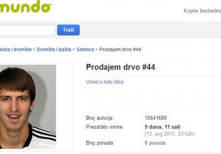 Navijački hit: Grobari prodaju napadača kao drvo!