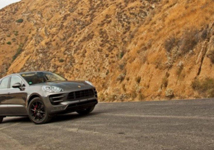 Macan se provozao po brdima Hollywooda