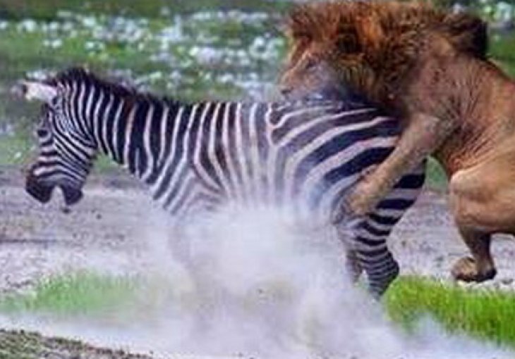 Navijači Juventusa pobjesnili zbog ove fotografije