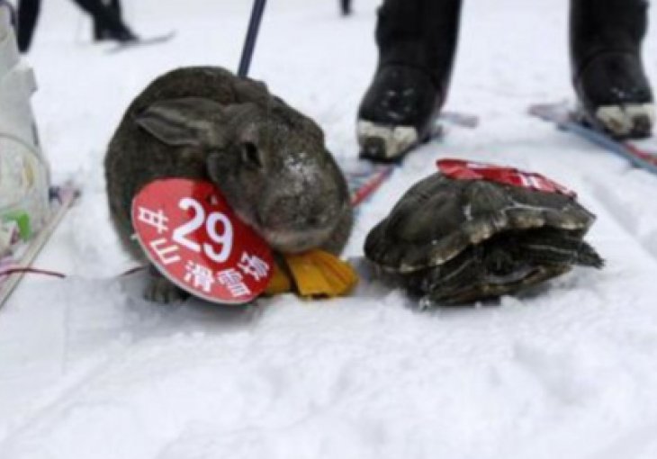 Vjerovali ili ne: Ovo zovu sportom u Sjevernoj Koreji
