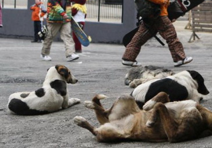 Morbidna odluka organizatora Olimpijade koja je zgrozila svijet