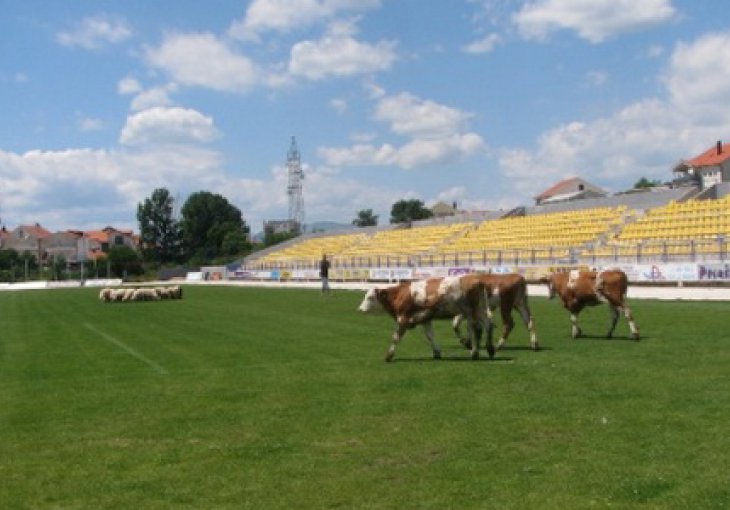 Goveda na terenu, plast sijena umjesto baklje, prvak s hiljadu ljudi na tribinama