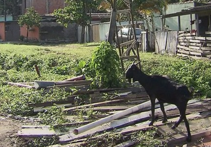 Reprezentativci BiH će imati neobične komšije u Guaruji
