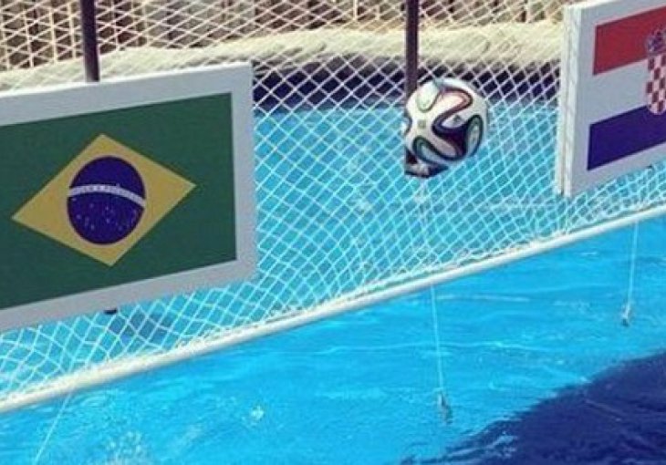 Kornjača prognozirala pobjednika duela Brazil-Hrvatska