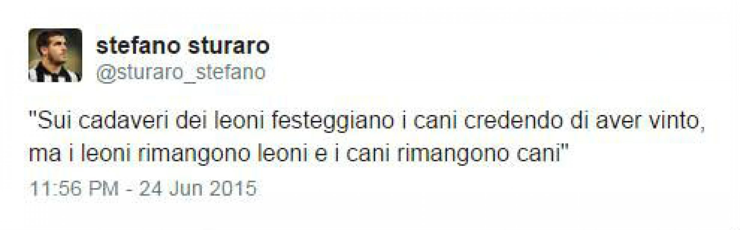 stefano