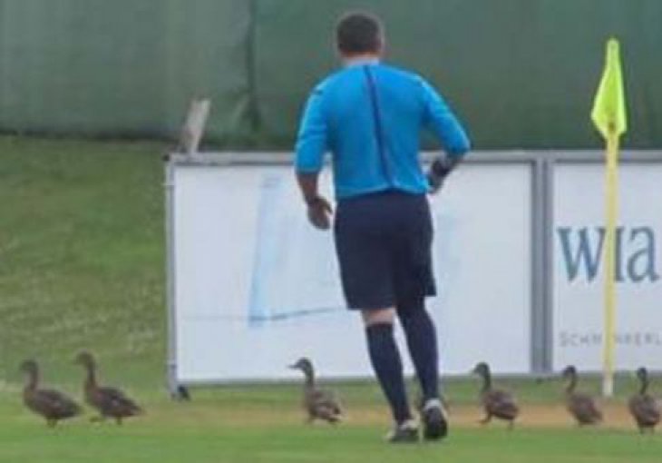 (VIDEO) Utakmicu Zenita i Ludogoreca prekinule patke