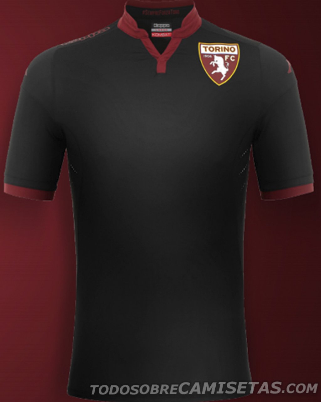 torino4