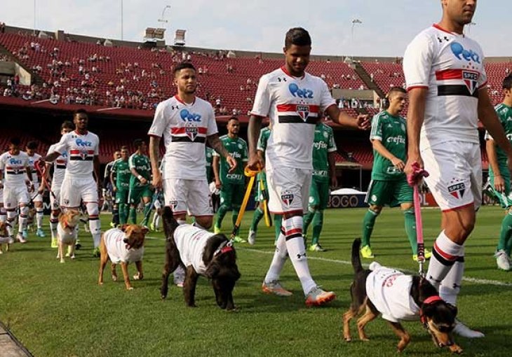 Nogometaši Sao Paola na treren izašli sa psima lutalicama