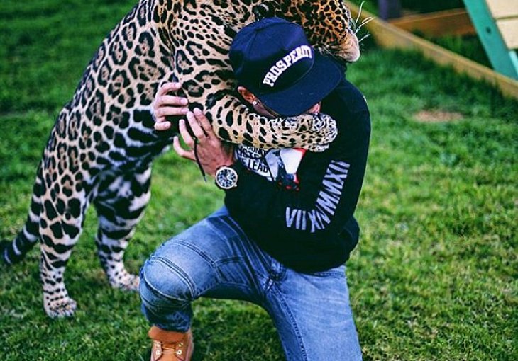 Lewis Hamilton se poigrao sa jaguarom ali ne na četiri točka