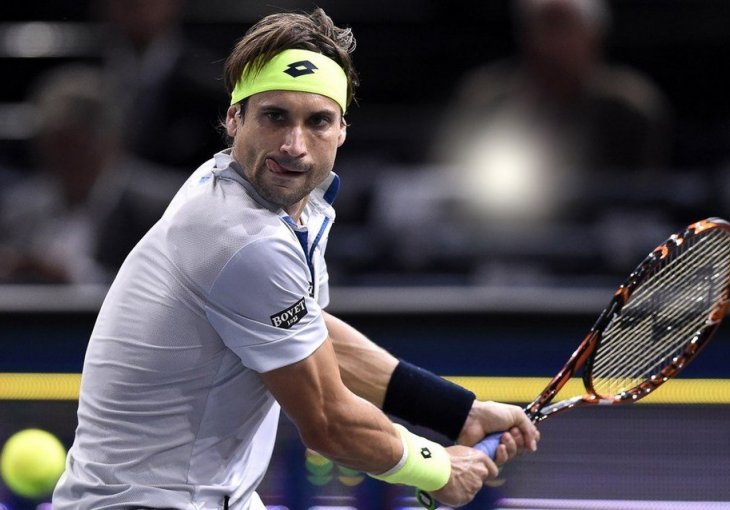 Masters u Parizu: Polufinale izborio i David Ferrer