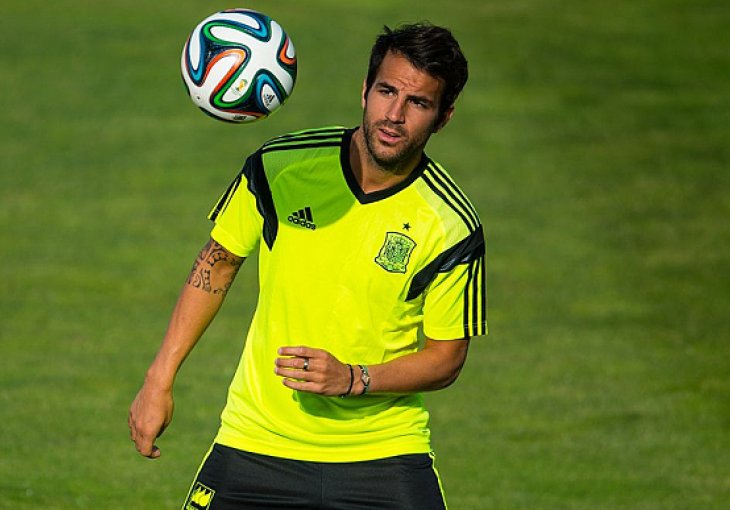Fabregas: Španija je opsjednuta osvajanjem trofeja