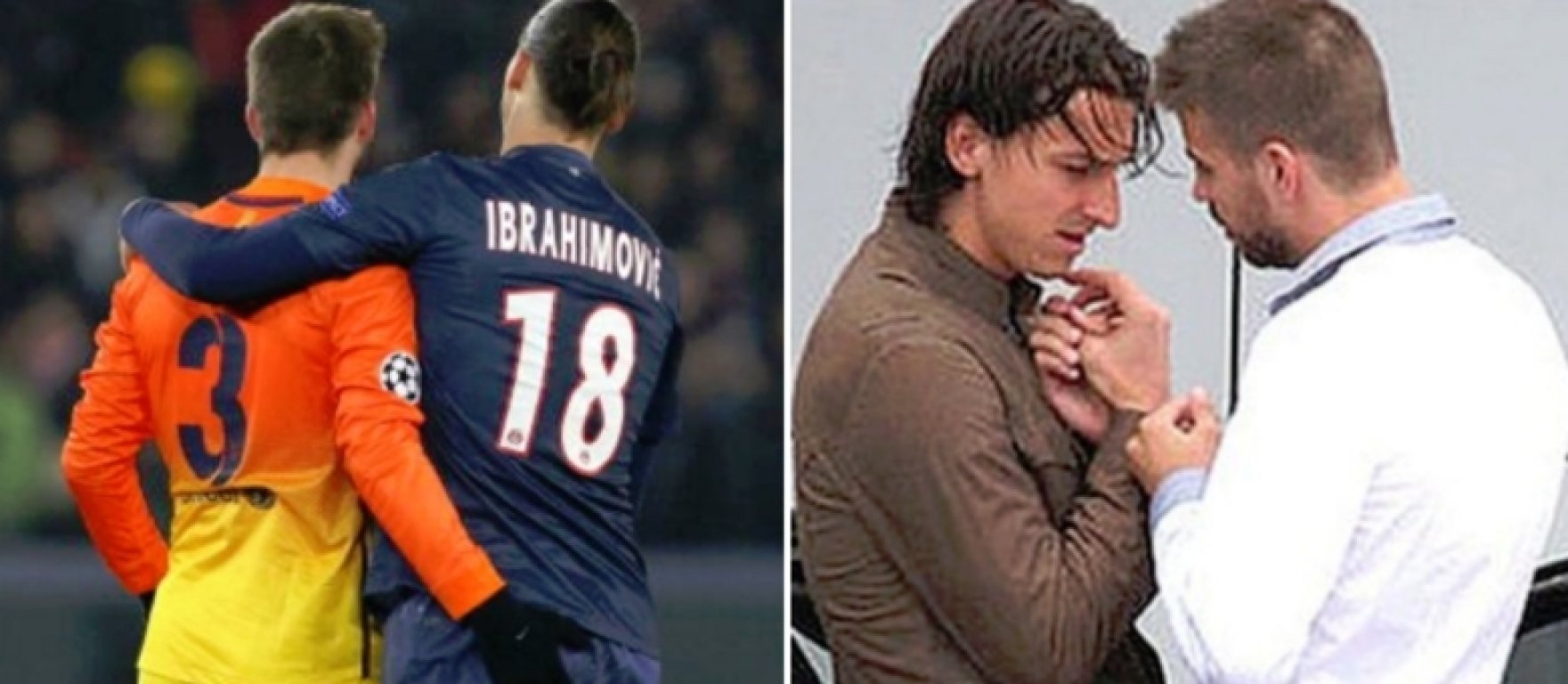 pique-ibra