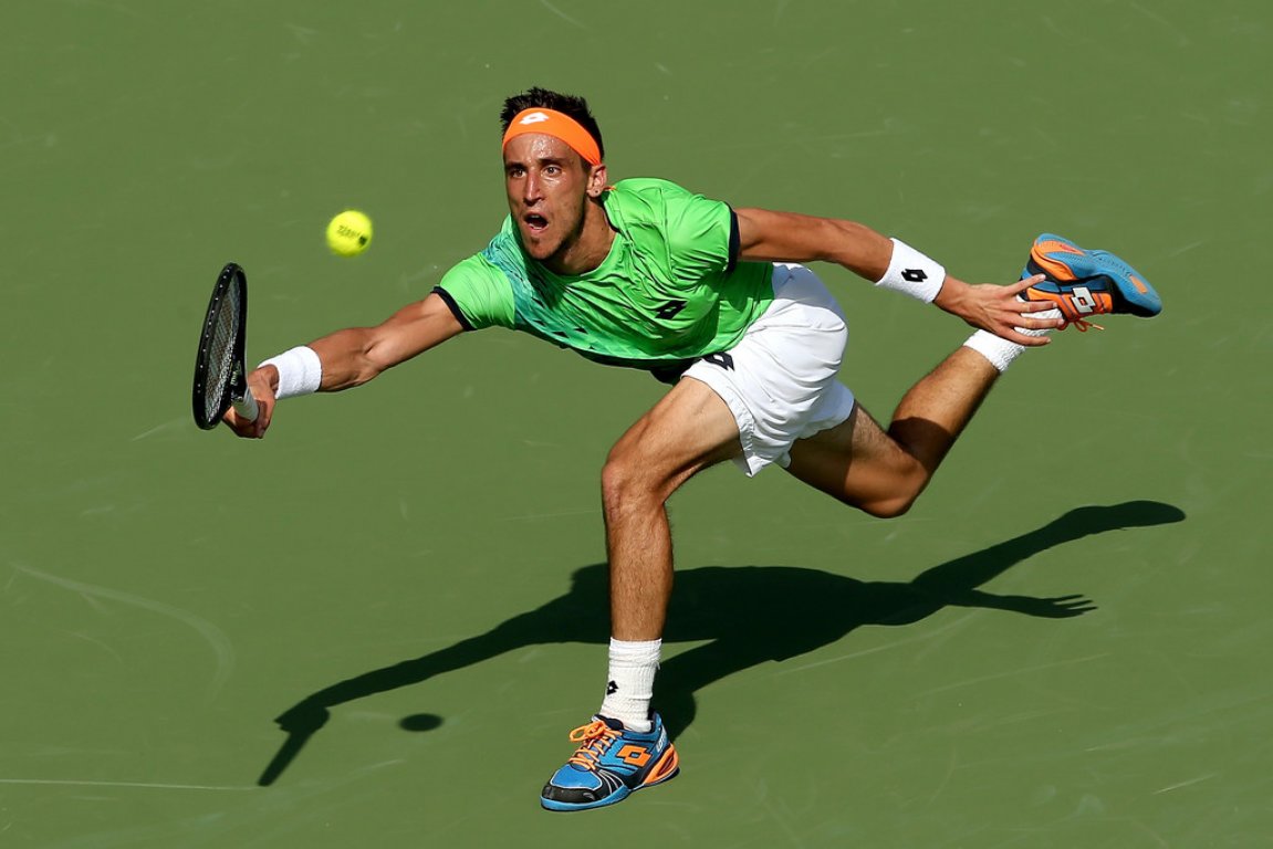 dzumhur1