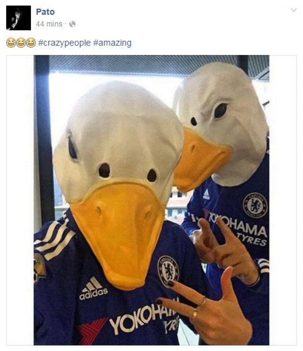 pato
