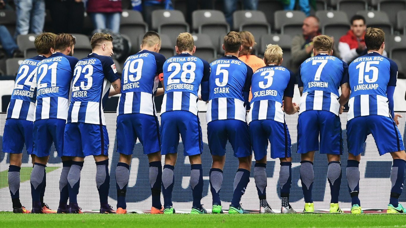 hertha-ibisevic