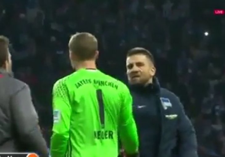 Ibišević se 