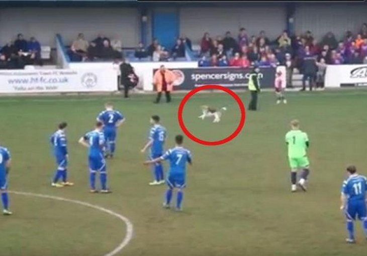 Utrčao je u teren, napravio haos, utakmica 7 minuta u prekidu! (VIDEO)