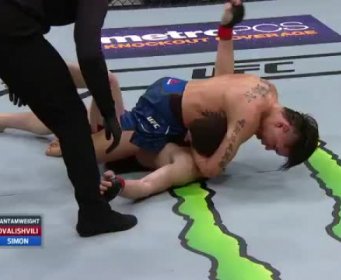 UŽASNO GUŠENJE: Mučan kraj borbe koja je izazvala kontraverze i podijelila svijet!