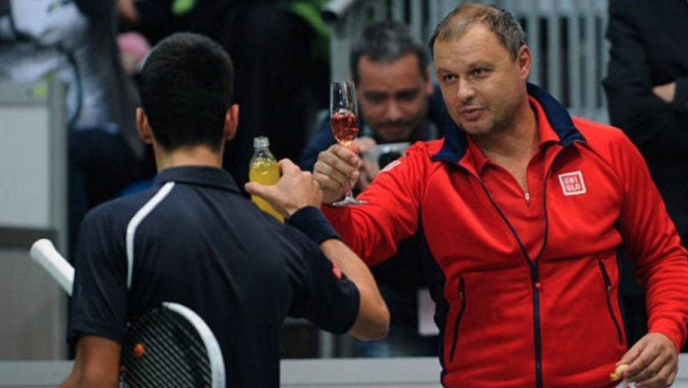 vajda-novak