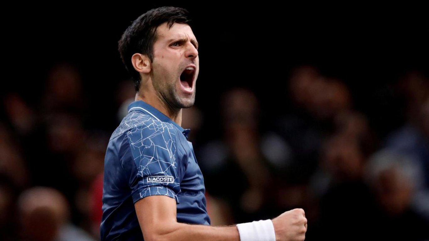 novak2