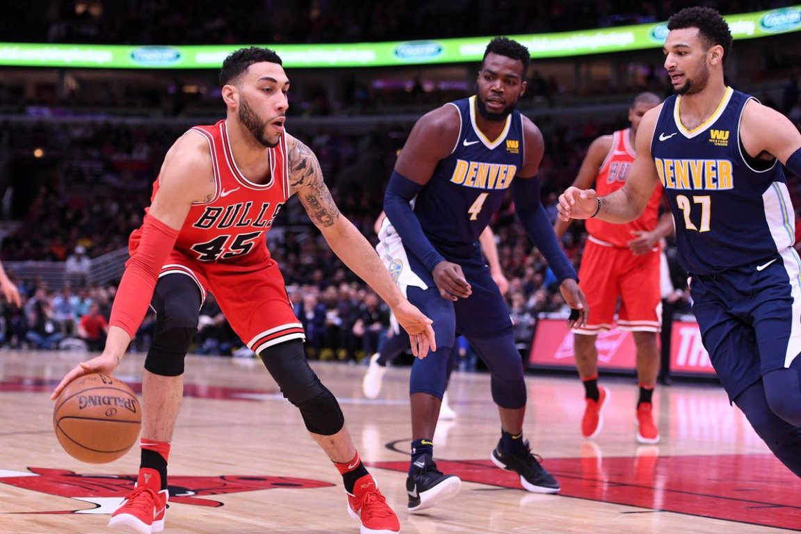 bulls