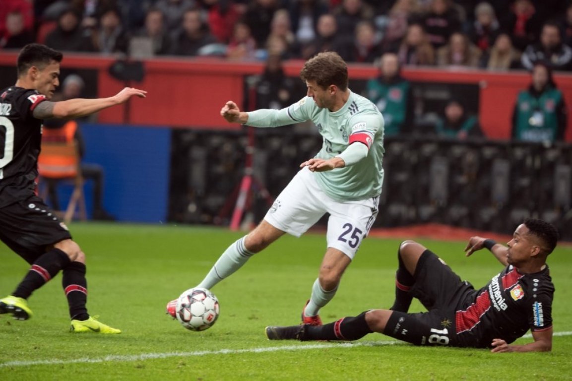 muller