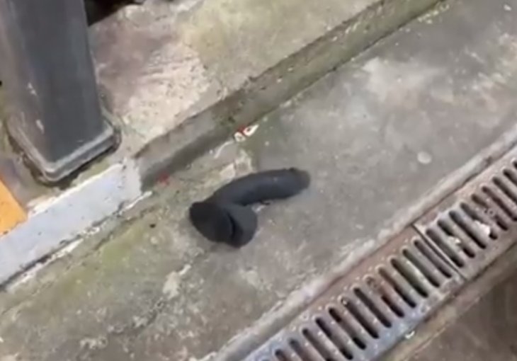 URNEBESNI VIDEO SA OLD TRAFFORDA Pronašli umjetni penis kraj klupe Manchester  Uniteda 