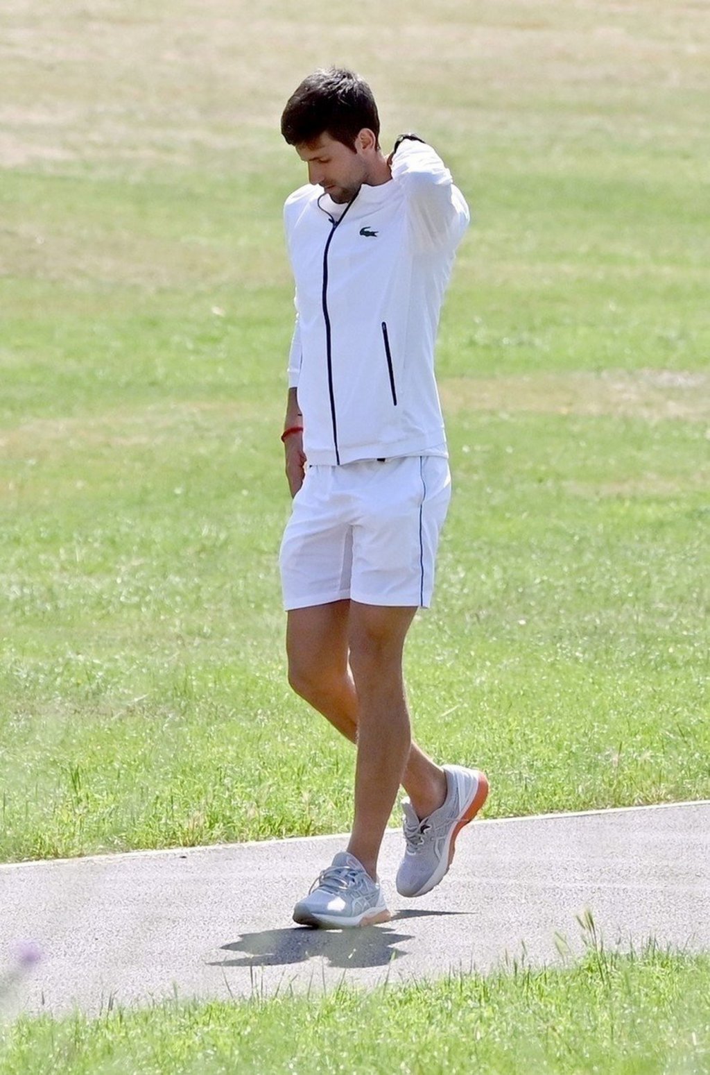 nole2