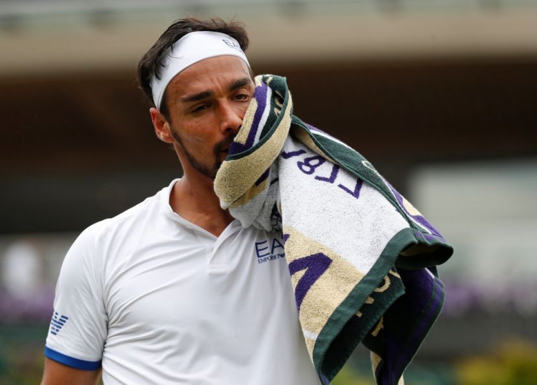 novak2