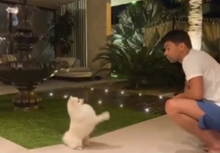 NUDI USLUGE I DRUGIMA: Pogledajte kako Eduardo da Silva dresira svog psa SNIMAK ĆE VAS ODUŠEVITI