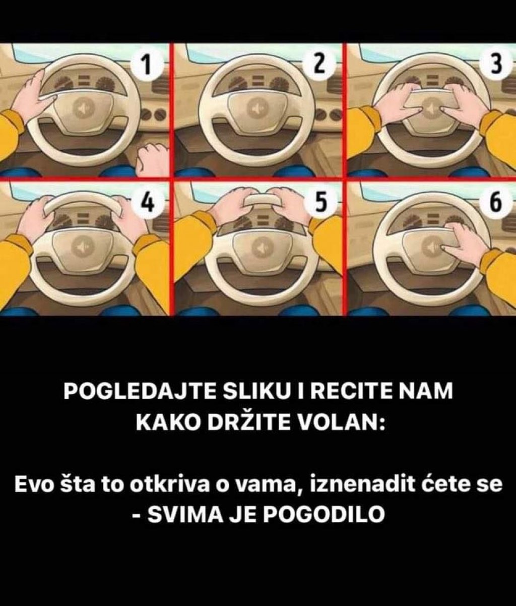 266094736-464741628551839-4422158868052316796-n