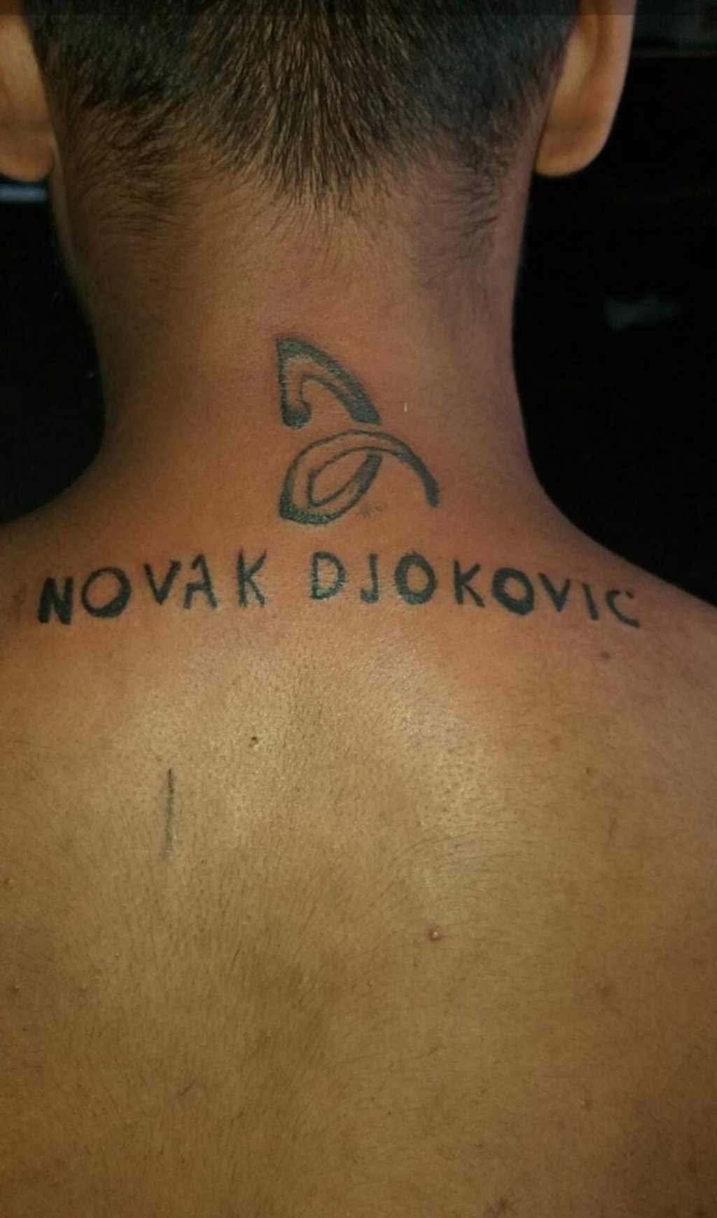 2891431-novaktetovaza3830x0-ff