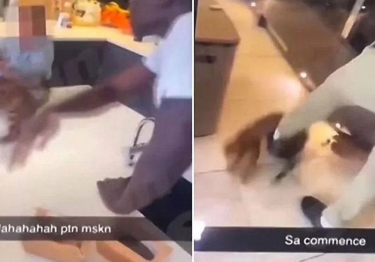 Uznemirujuće / Reprezentativac Francuske šutirao skupocjenu mačku pred djetetom i zgrozio javnost