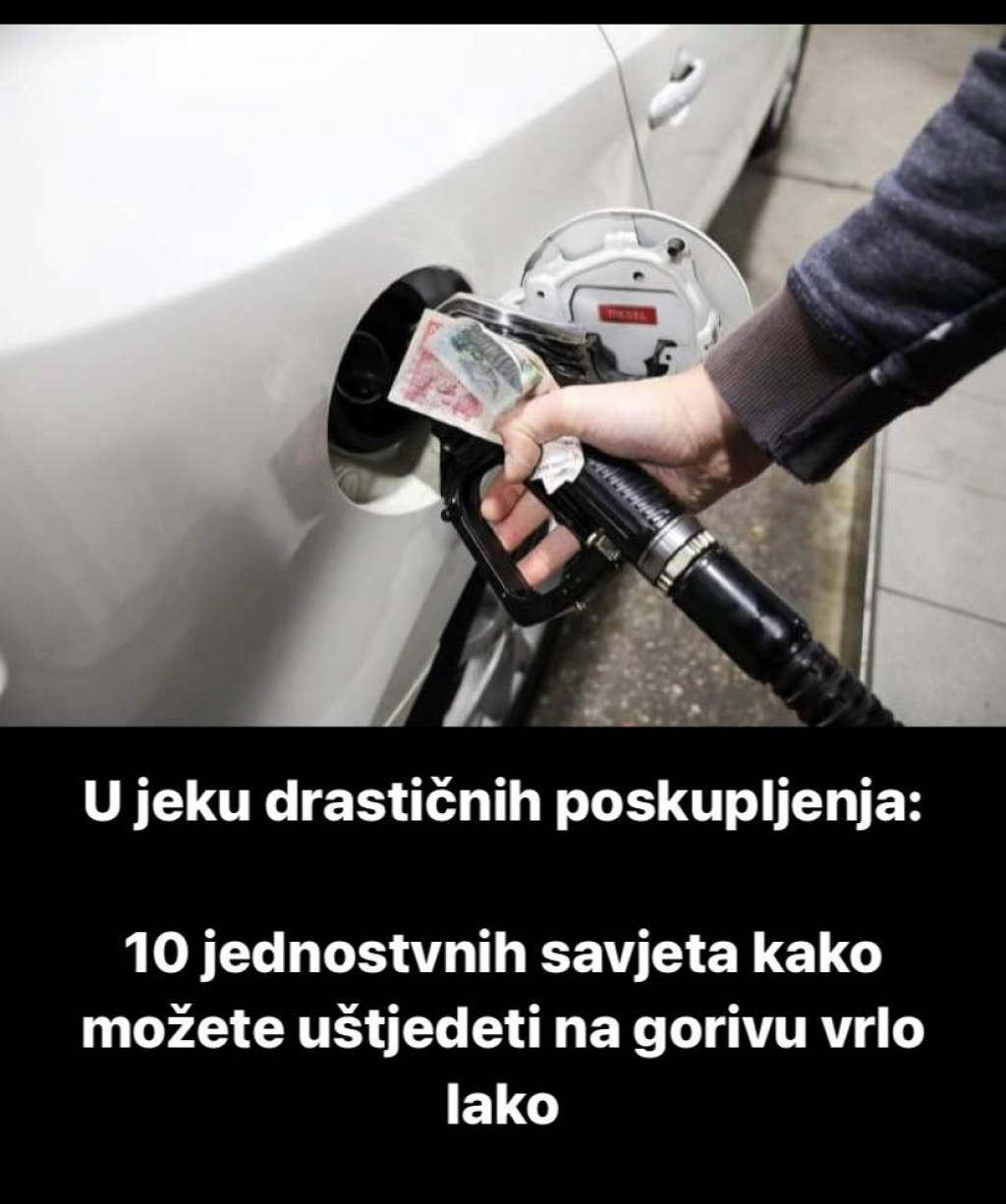 255757050-4279947708799586-617379106408766789-n