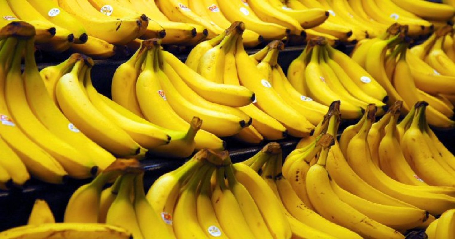 5b1b9cb1-f188-454e-8a79-06010a0a0a67-bananas1-previeworg