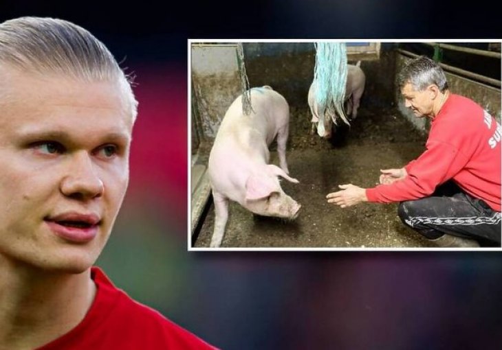 Haaland citirao farmera koji mu je dao savjet, otkriveno i ko je on