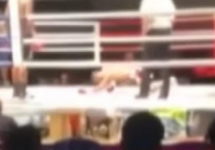 UZNEMIRUJUĆI VIDEO: Nepobijedivi bokser preminuo u ringu! Krenuo ka rivalu i samo se srušio! NIJE MU BILO SPASA!