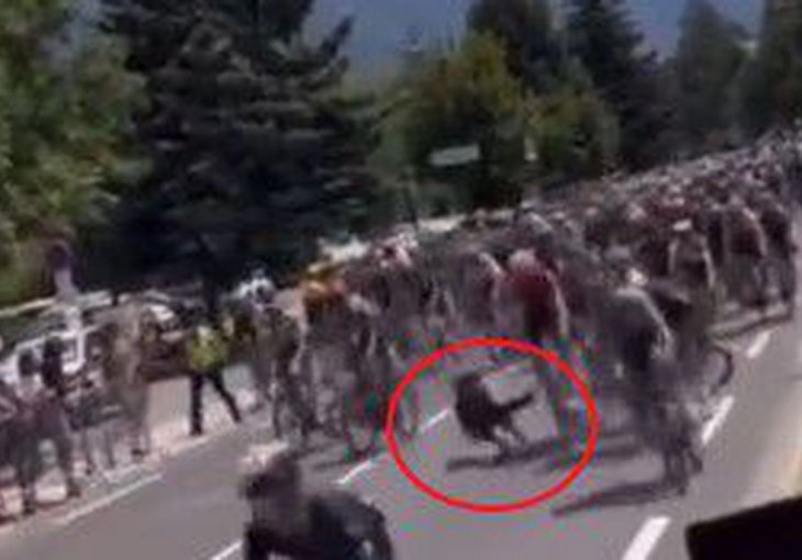 VIDEO Bizarna nesreća na Tour de Franceu, za sve kriv – pas