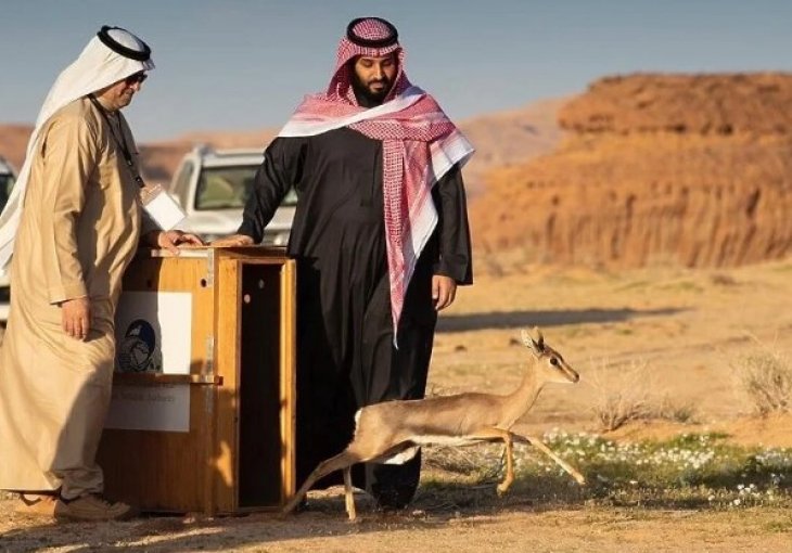 I OVO JE MOGUĆE Zimske igre biće organizovane u Saudijskoj Arabiji, pustinja je spremna