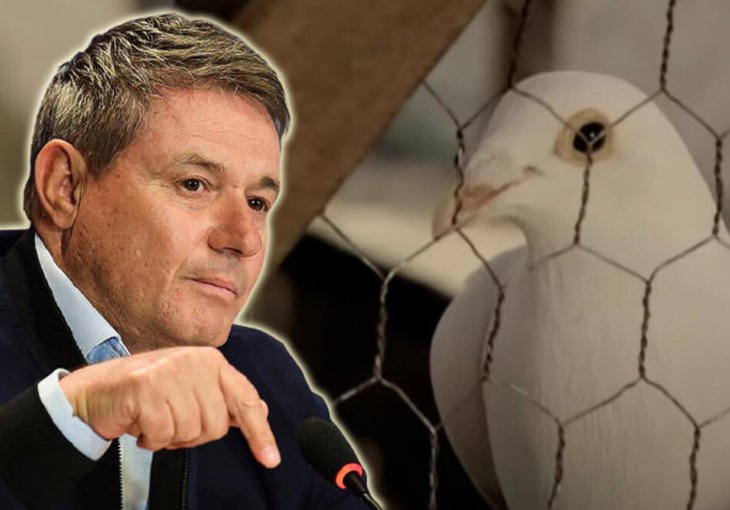 TALIJA! ČUVENI GOLUB RADOJE IZ MONTEVIDEA JE KOD PIKSIJA: Hoće li ga selektor Srbije povesti na Mundijal u Kataru, kao SAVJETNIKA?!