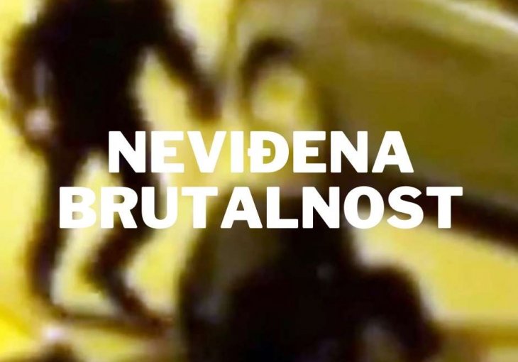 NEVIĐENA BRUTALNOST Hrvati objavili snimak prebijanja momka svezanog na podu 