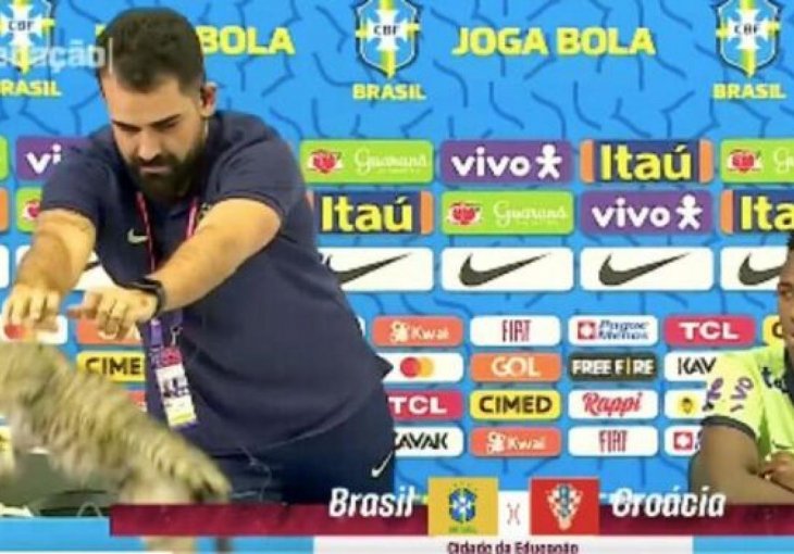 Mačka prekinula konferenciju Brazila pred meč s Hrvatskom: POGLEDAJTE GROZNU REAKCIJU PORTPAROLA (VIDEO)