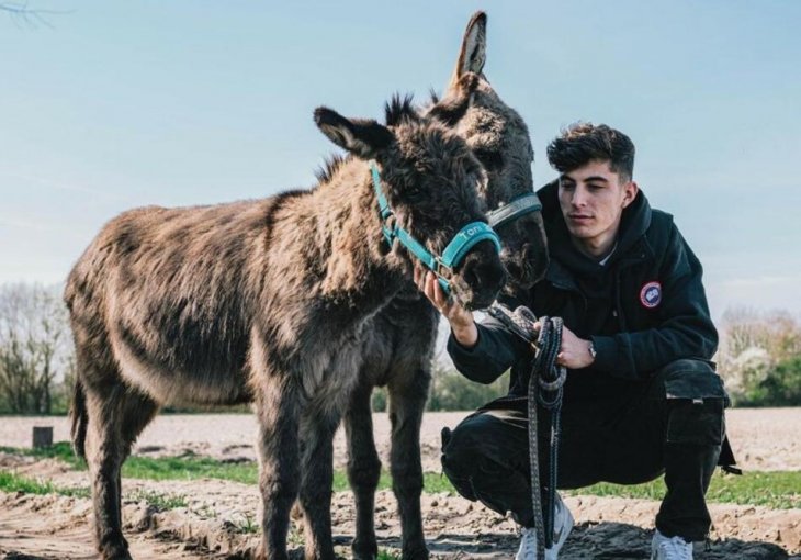 ZOVU GA MAGARAC, A ČELSIJU JE DONIO LIGU ŠAMPIONA: Fudbaler otkrio koji mu je nadimak i zašto ga saigrači zadirkuju!