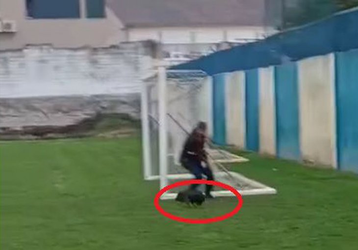 VIDEO Urnebesne scene u dolini Neretve: Ljutim rivalima pustili tri vepra na teren!