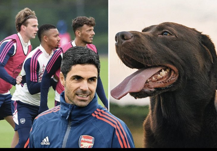 Arsenalova svlačionica bogatija za novo pojačanje, Arteta angažovao kućnog ljubimca!